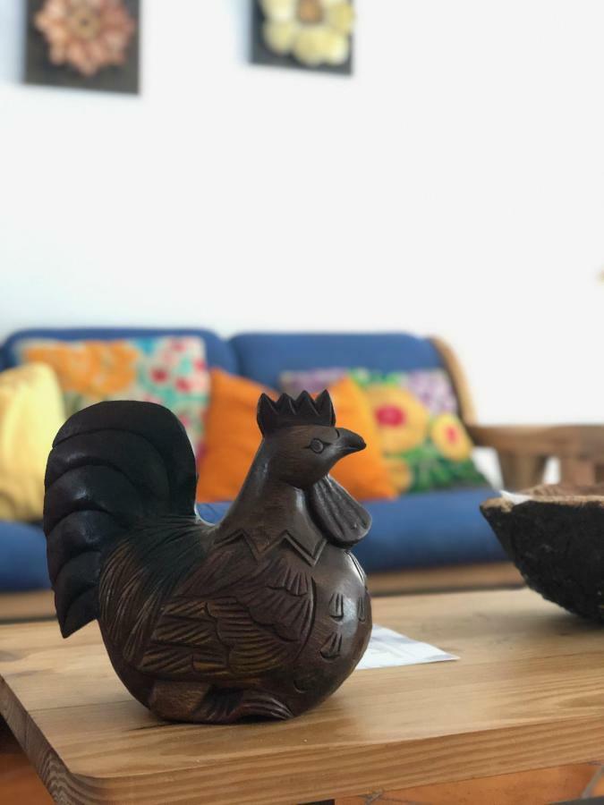 빌라노바데밀폰테스 Casa Da Oliveira 빌라 외부 사진